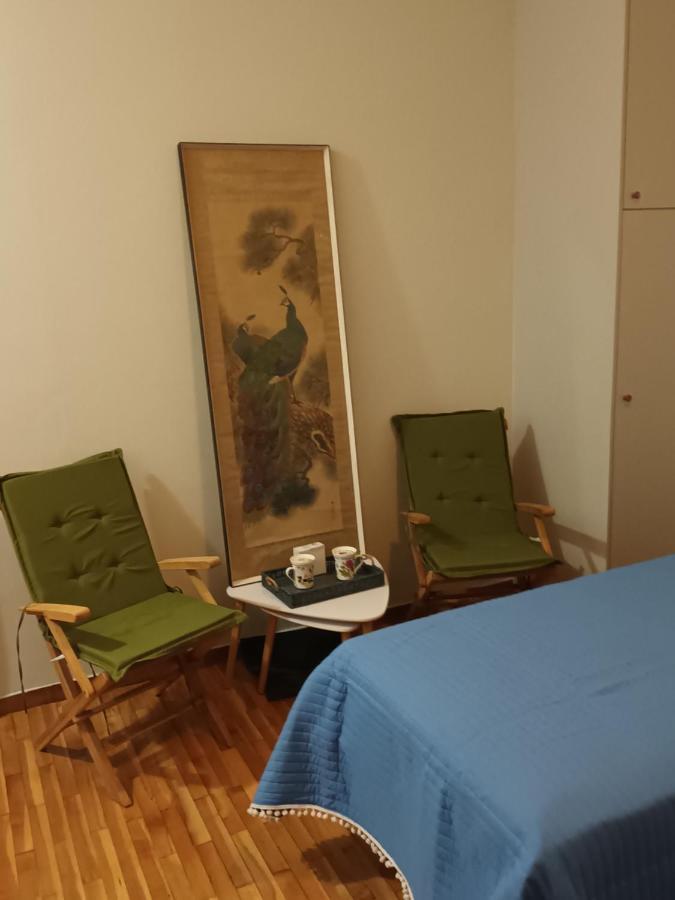 Apartamento Στούντιο Διπλα Στην Ακρόπολη Atenas Exterior foto